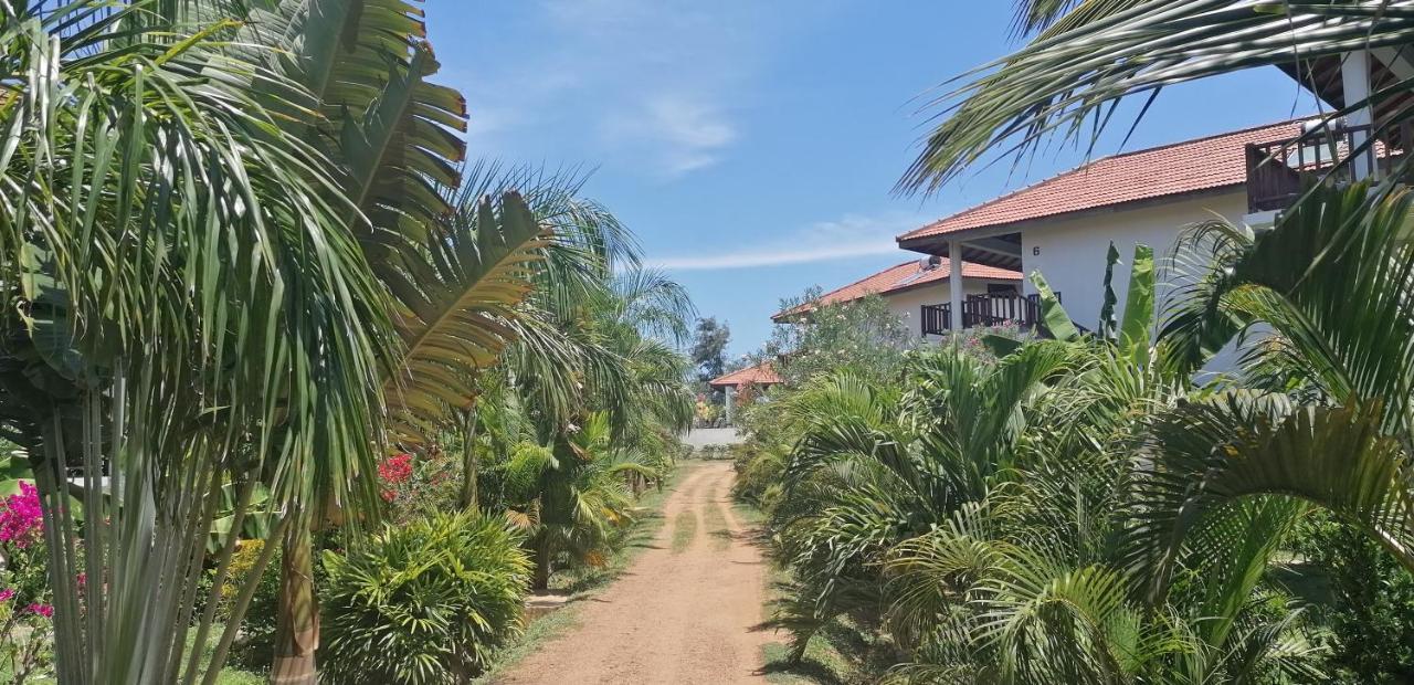 Ladja Beach Resort Ambalantota المظهر الخارجي الصورة