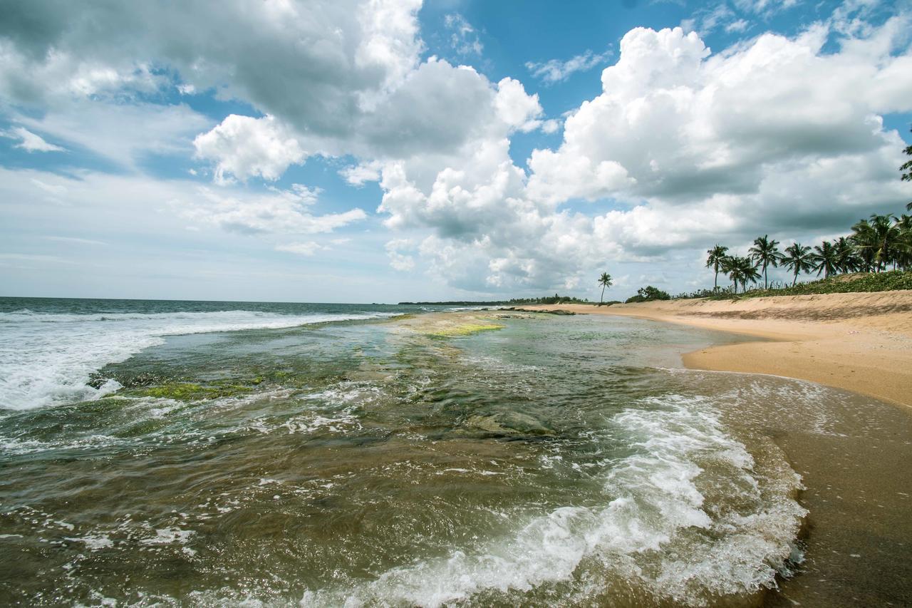 Ladja Beach Resort Ambalantota المظهر الخارجي الصورة