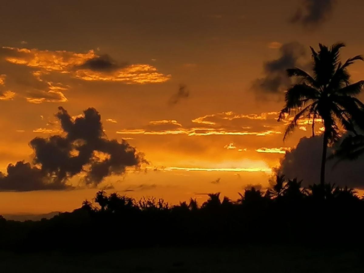 Ladja Beach Resort Ambalantota المظهر الخارجي الصورة